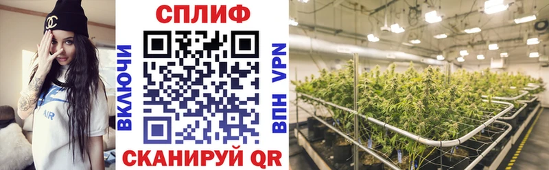 Бошки Шишки марихуана  Смоленск 